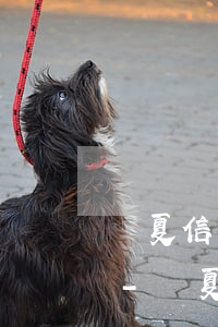 華夏信用卡逾期會(huì)有外訪人員嗎-華夏信用卡逾期會(huì)有外訪人員嗎?