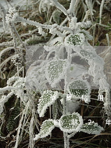 華夏信用卡逾期會怎么處理(華夏信用卡3萬逾期2年)