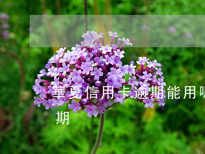 華夏信用卡逾期能用嗎(華夏銀行信用卡 寬限期)