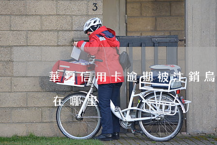華夏信用卡逾期被注銷(烏魯木齊市的海洋館在哪里)