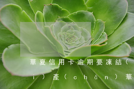 華夏信用卡逾期要凍結(jié)財(cái)產(chǎn)(華夏銀行卡莫名其妙的被凍結(jié)了為什么)