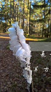 華夏信用卡逾期費(fèi)用計(jì)算方法