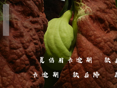華夏信用卡逾期還款后降額度嗎-華夏信用卡逾期還款后降額度嗎怎么辦