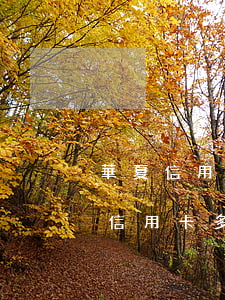華夏信用卡逾期還減了幾千本金(華夏銀行的信用卡多久算逾期)