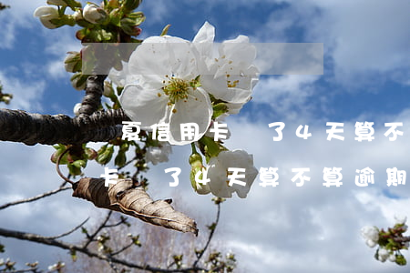 華夏信用卡遲了4天算不算逾期-華夏信用卡遲了4天算不算逾期了