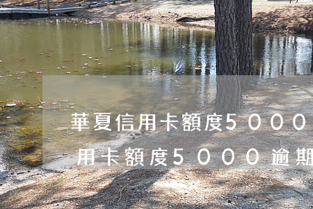 華夏信用卡額度5000逾期一年-華夏信用卡額度5000逾期一年怎么辦