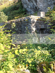 華夏信財逾期不還(華夏信財催款怎么辦)