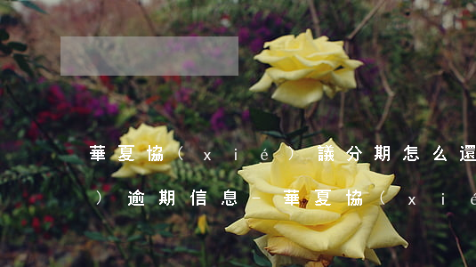 華夏協(xié)議分期怎么還在發(fā)逾期信息-華夏協(xié)商分期