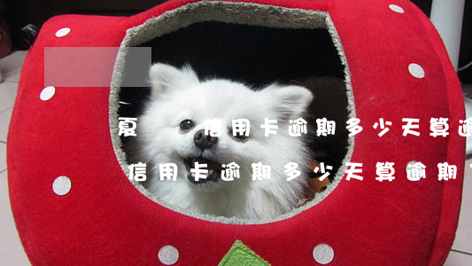 華夏標準信用卡逾期多少天算逾期-華夏標準信用卡逾期多少天算逾期了