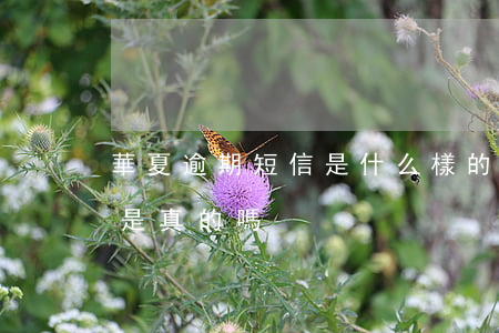 華夏逾期短信是什么樣的(華夏銀行催款短信是真的嗎)