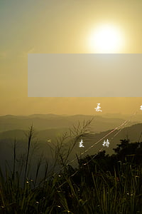 華夏銀行信用卡可以不還嗎(華夏銀行app支持還其他銀行信用卡嗎)