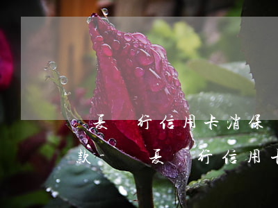 華夏銀行信用卡消保電話協(xié)商還款-華夏銀行信用卡消保電話協(xié)商還款是真的嗎