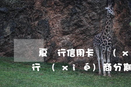 華夏銀行信用卡談協(xié)商-華夏銀行協(xié)商分期電話