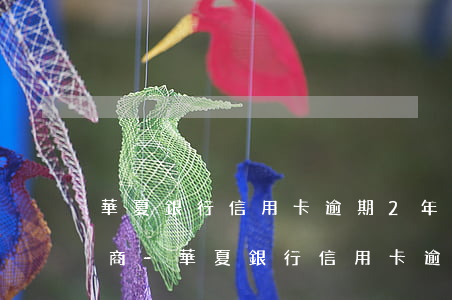 華夏銀行信用卡逾期2年怎么協(xié)商-華夏銀行信用卡逾期2年怎么協(xié)商方案