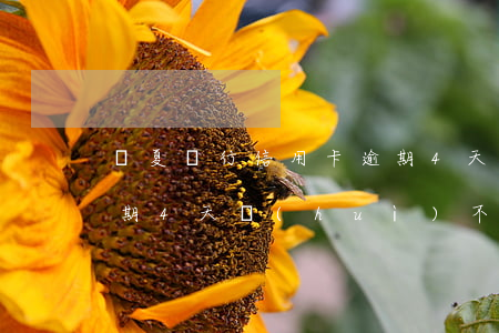 華夏銀行信用卡逾期4天(華夏銀行信用卡逾期4天會(huì)不會(huì)上征信)