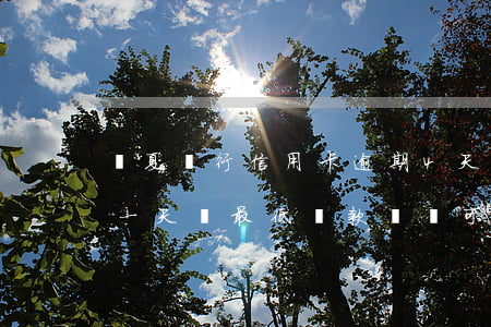 華夏銀行信用卡逾期4天還款(華夏銀行逾期一天還最低還款額還可以刷卡嗎?)
