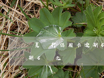 華夏銀行信用卡逾期6萬(華夏銀行信用卡逾期6萬元)