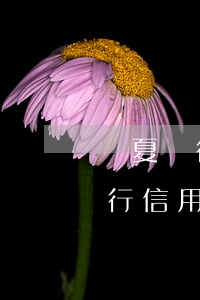 華夏銀行信用卡逾期8天利息多少-華夏銀行 信用卡 逾期