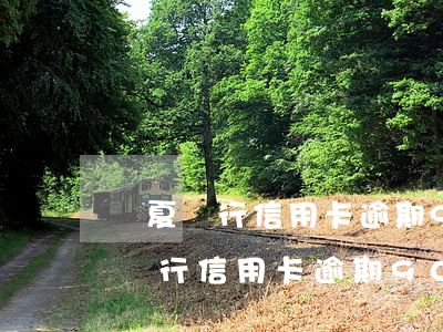 華夏銀行信用卡逾期90天被起訴嗎-華夏銀行信用卡逾期90天被起訴嗎怎么辦