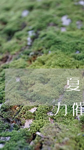 華夏銀行信用卡逾期一個(gè)月就被暴力催收-華夏銀行 信用卡 逾期
