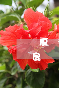 華夏銀行信用卡逾期三天會(huì)有不良記錄嗎-華夏銀行信用卡逾期三天會(huì)有不良記錄嗎