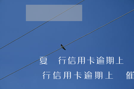 華夏銀行信用卡逾期上門催收怎么辦-華夏銀行信用卡逾期上門催收怎么辦啊
