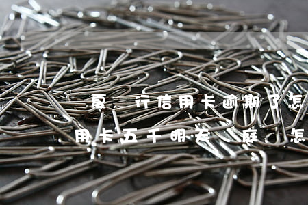華夏銀行信用卡逾期了怎么辦(欠華夏銀行信用卡五千明天開庭該怎么辦)