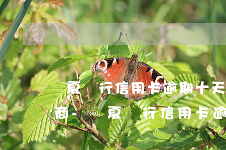 華夏銀行信用卡逾期十天怎么協(xié)商-華夏銀行信用卡逾期十天怎么協(xié)商還款