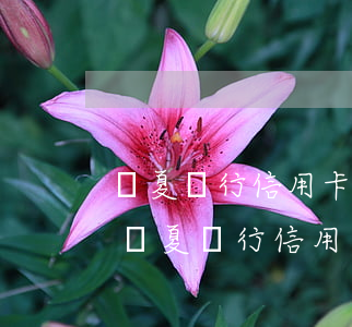 華夏銀行信用卡逾期半年怎么處理-有沒有華夏銀行信用卡逾期半年