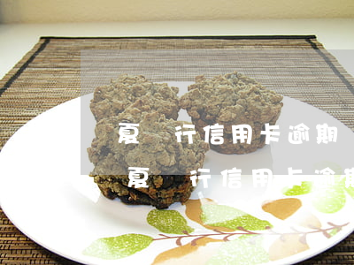 華夏銀行信用卡逾期協(xié)商60期（華夏銀行信用卡逾期協(xié)商60期）