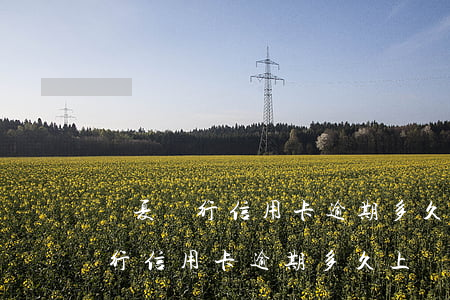 華夏銀行信用卡逾期多久上報征信-華夏銀行信用卡逾期多久上報征信報告