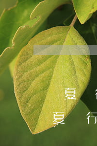 華夏銀行信用卡逾期好協(xié)商嗎(華夏銀行信用卡逾期好協(xié)商嗎)