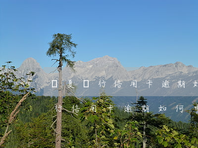 華夏銀行信用卡逾期如何申請撤銷-華夏銀行信用卡逾期如何申請撤銷征信