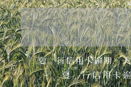 華夏銀行信用卡逾期幾天會(huì)怎么樣-華夏銀行信用卡逾期幾天會(huì)怎么樣嗎
