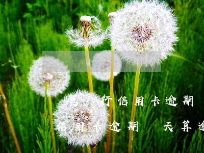 華夏銀行信用卡逾期幾天算逾期-華夏銀行信用卡逾期幾天算逾期嗎