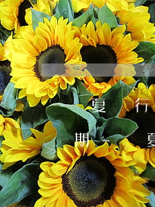 華夏銀行信用卡逾期怎么協(xié)商分期-華夏銀行信用卡逾期怎么協(xié)商分期還款