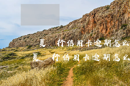 華夏銀行信用卡逾期怎么協(xié)商（華夏銀行信用卡逾期怎么協(xié)商）