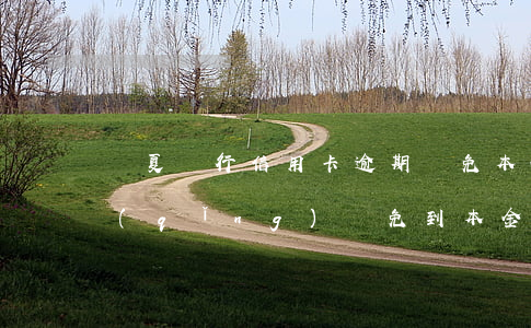 華夏銀行信用卡逾期減免本金(華夏銀行申請(qǐng)減免到本金)