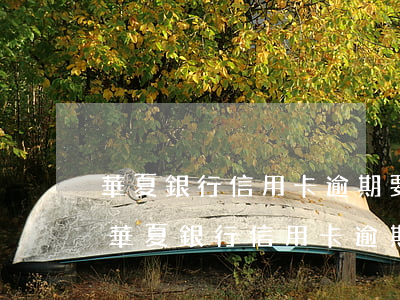 華夏銀行信用卡逾期要怎樣協(xié)商 華夏銀行信用卡逾期要怎樣協(xié)商