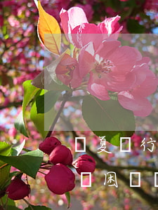 華夏銀行信用貸款停息掛賬經(jīng)濟困難證明-停息掛帳困難證明