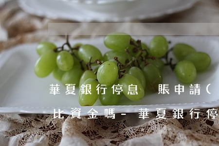 華夏銀行停息掛賬申請(qǐng)需要首比資金嗎-華夏銀行停貸時(shí)間