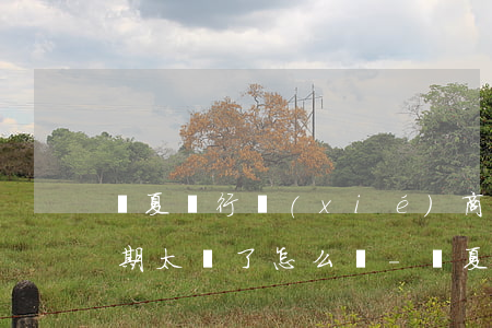 華夏銀行協(xié)商個(gè)性化分期太難了怎么辦-華夏銀行協(xié)商個(gè)性化分期太難了怎么辦呢