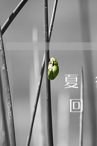 華夏銀行協(xié)商個性化分期投訴后沒回復(fù)-華夏銀行怎么協(xié)商個性化分期