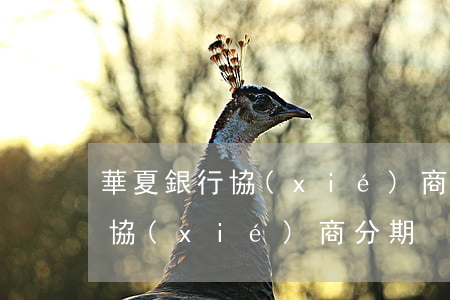 華夏銀行協(xié)商只還本金(華夏銀行協(xié)商分期)