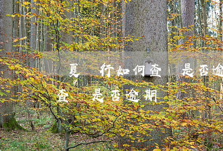 華夏銀行如何查詢是否逾期-華夏銀行如何查詢是否逾期記錄