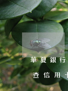 華夏銀行怎么查是否欠信用卡(華夏銀行怎么查信用卡賬單)