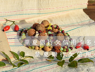 華夏銀行欠信用卡多少會(huì)被起訴-華夏銀行欠信用卡多少會(huì)被起訴成功