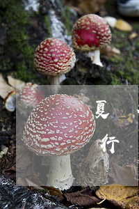 華夏銀行能辦理60期個性化分期嗎-華夏銀行個性化分期的條件