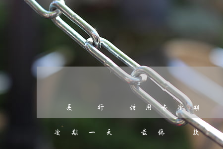 華夏銀行說信用卡逾期還款減免-華夏銀行逾期一天還最低還款額還可以刷卡嗎?