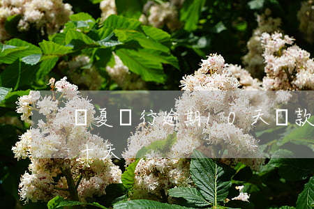 華夏銀行逾期10天還款(華夏銀行還款晚了十天)